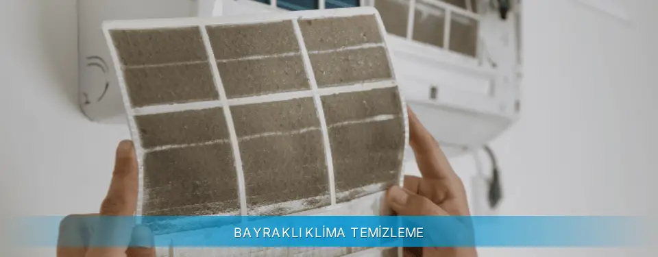Bayraklı İlçemi Altus Klima Temizleme